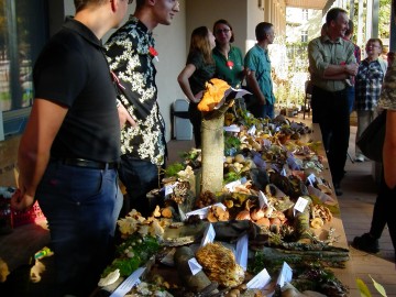 Dzień Grzyba 14.10.2018r. - wystwa, prelekcja i spacer po lesie, fot. H. Andrzejewski